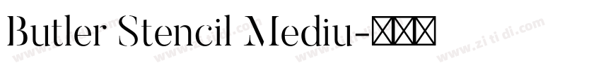 Butler Stencil Mediu字体转换